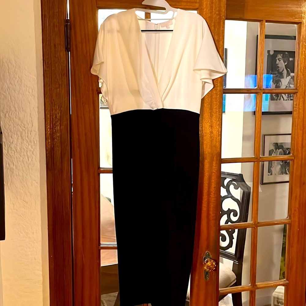 ❤️ TED BAKER 3. ❤️ USA 8 ❤️ Worn ONCE & Dry Cleaned. ❤️ No Rips. ❤️ No Stains.